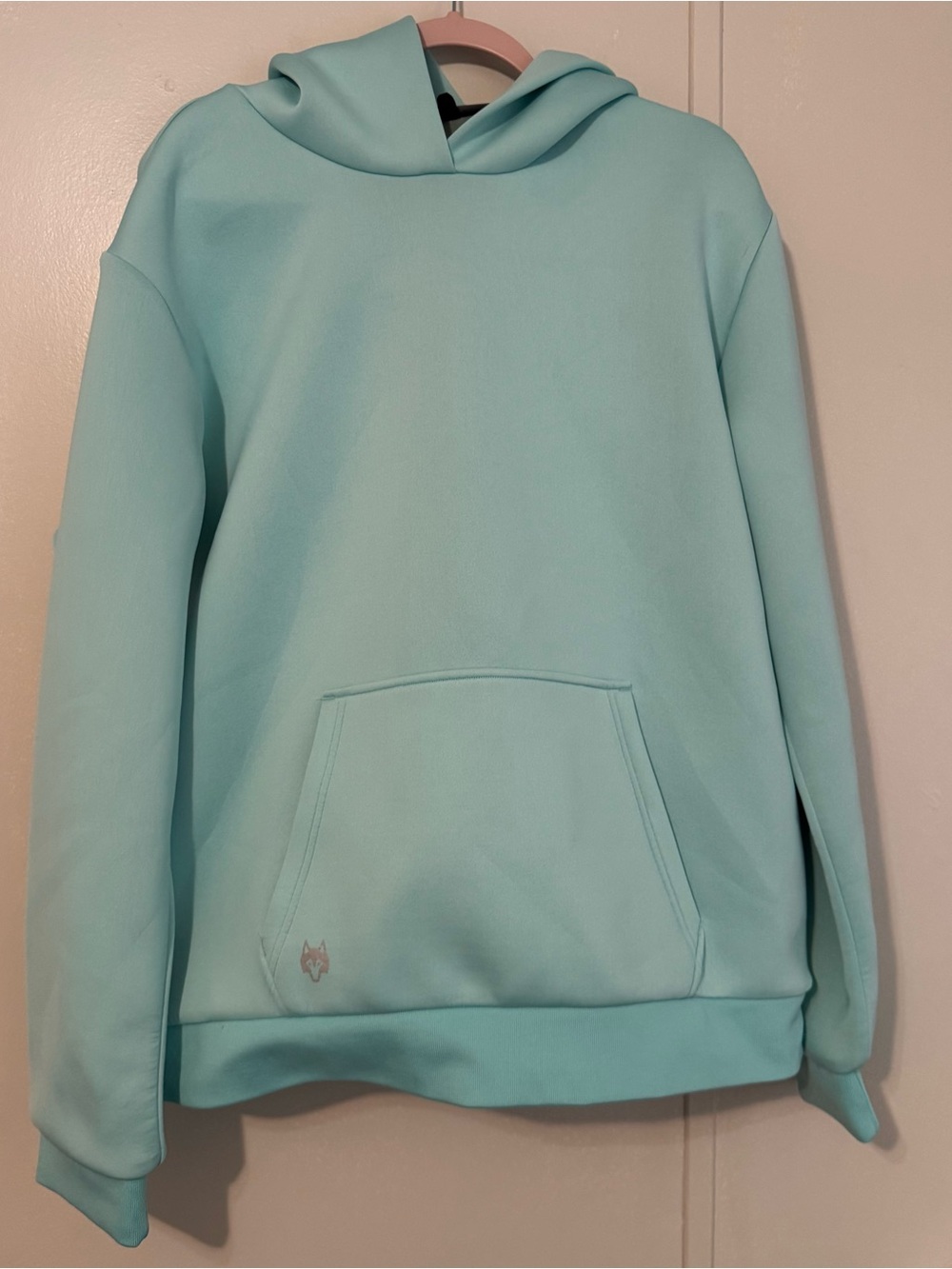 Greyson Chene Hoodie in Mint‎ Green Hooded Pullover Sweater